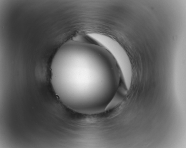 X0000089750416200707051818