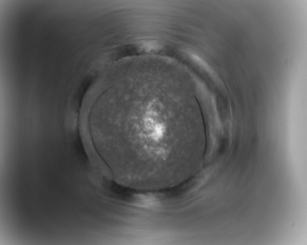 X0000089750417200707051818