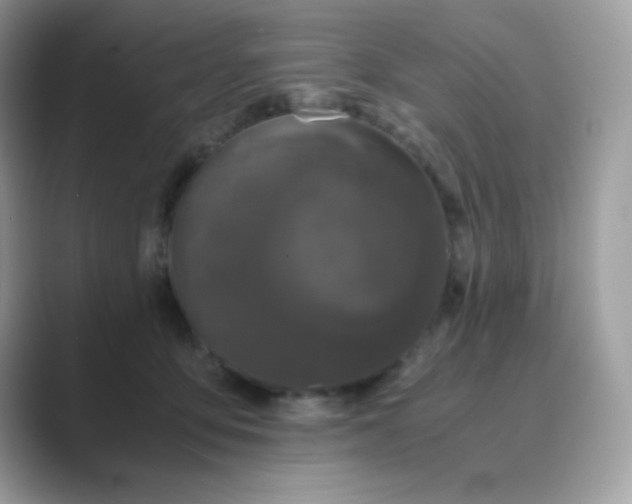 X0000089750419200707051818