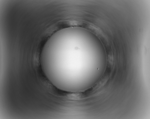 X0000089750422200707051818