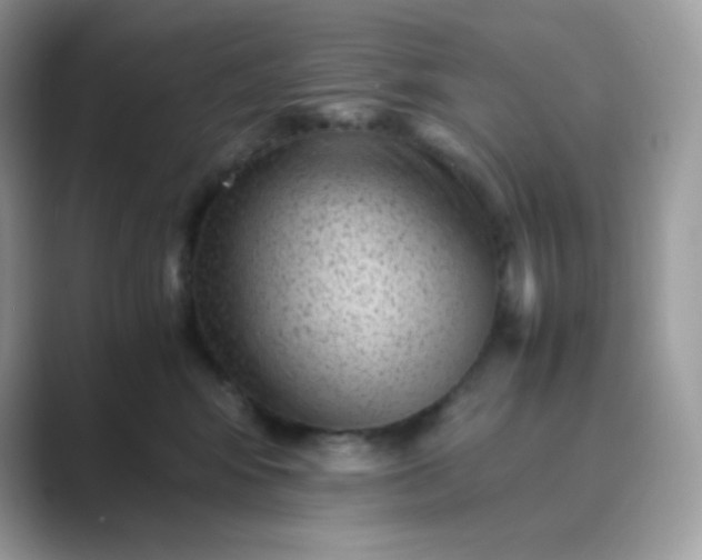 X0000089750424200707051818