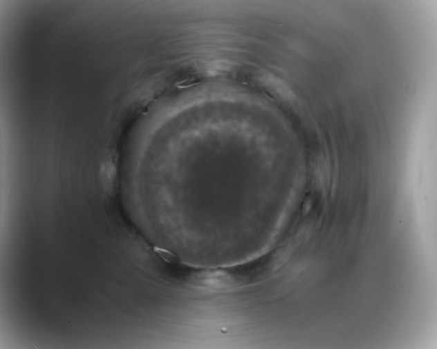 X0000089750427200707051818