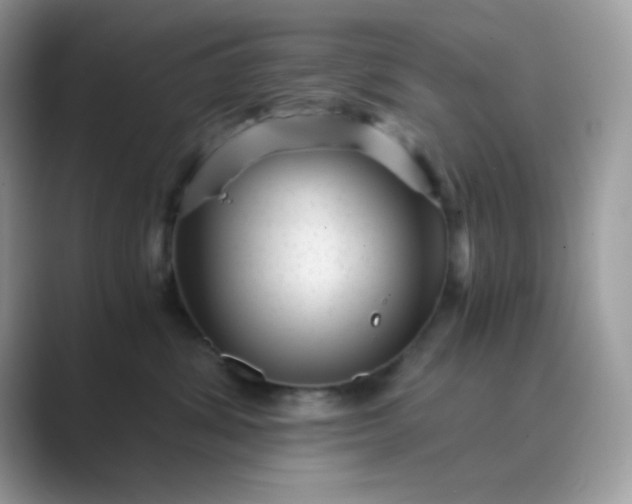 X0000089750428200707051818