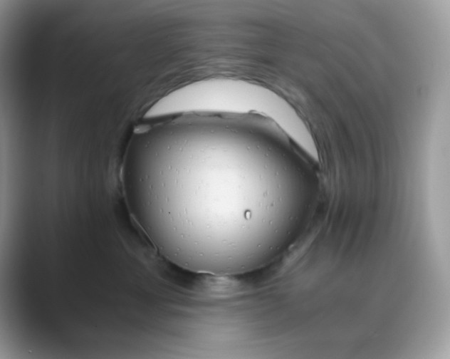 X0000089750429200707051818