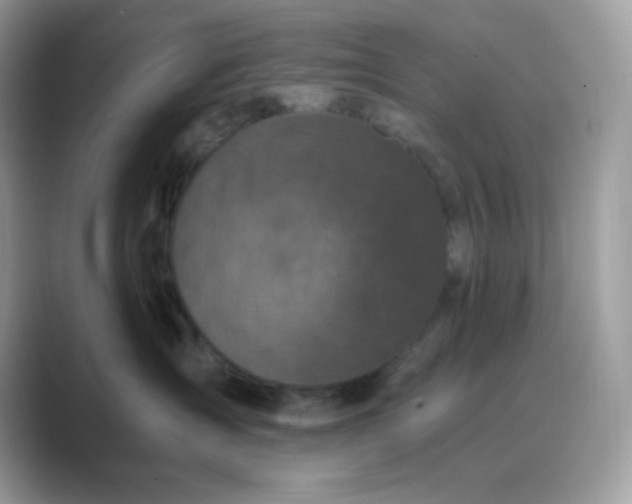 X0000089750431200707051818