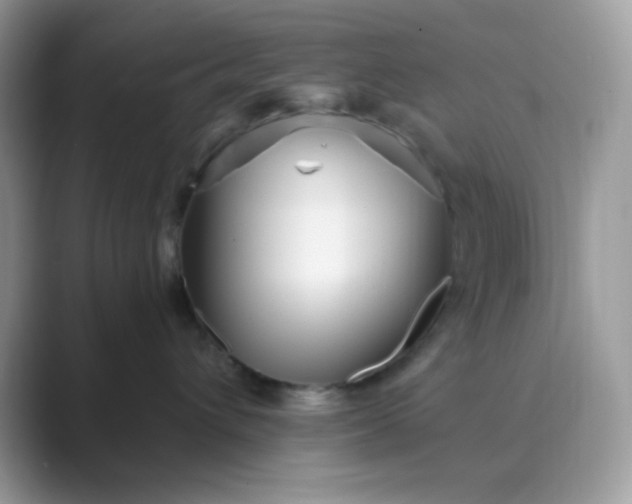 X0000089750432200707051818