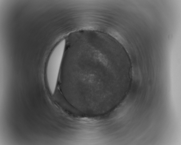 X0000089750434200707051818