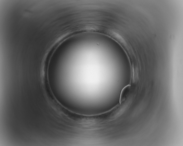 X0000089750435200707051818