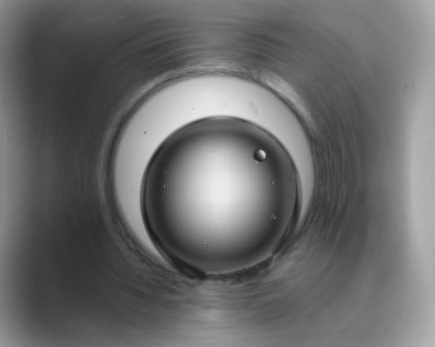 X0000089750436200707051818