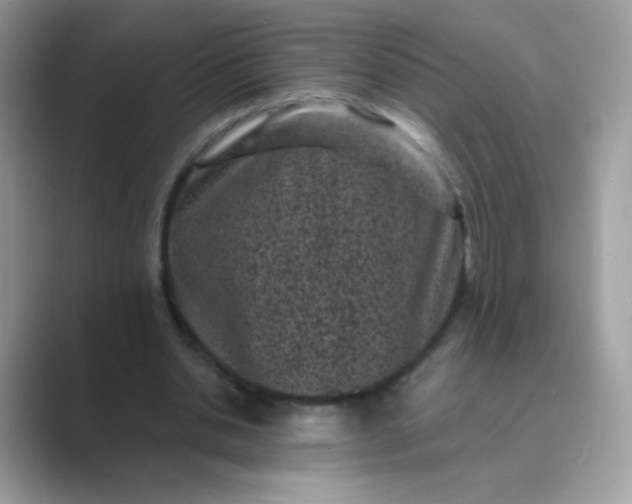 X0000089750438200707051818