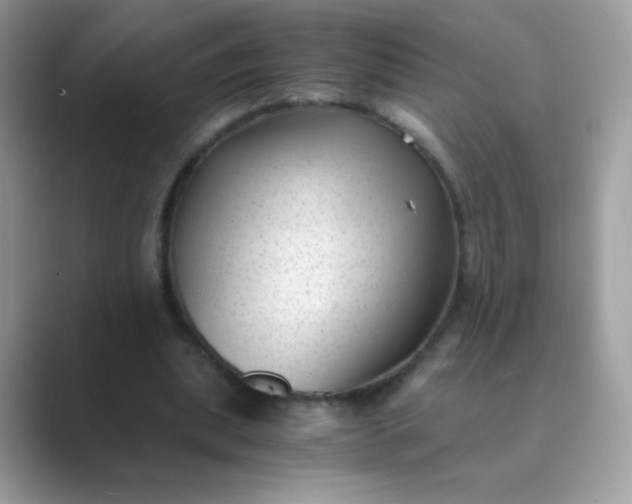 X0000089750439200707051818