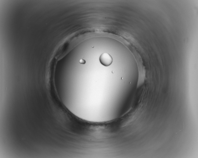 X0000089750440200707051818