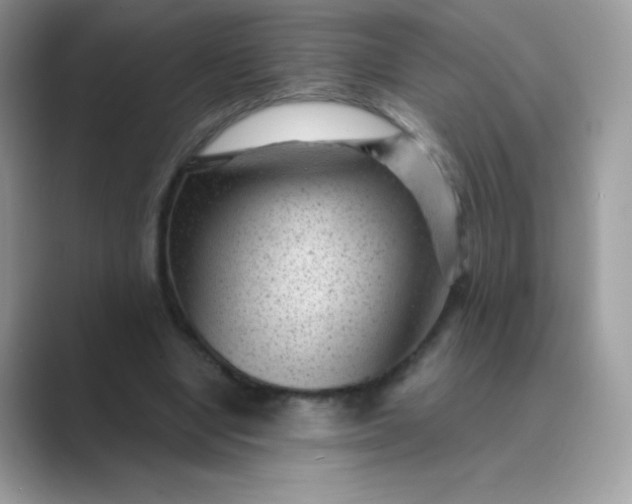 X0000089750442200707051818