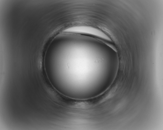 X0000089750446200707051818