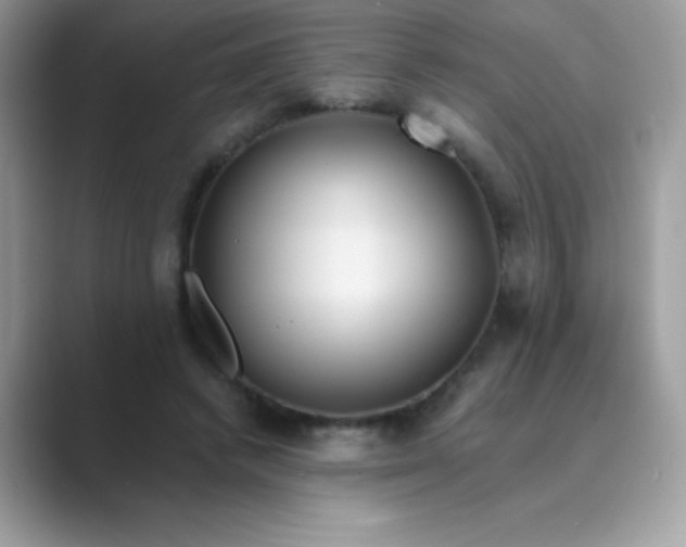 X0000089750448200707051818