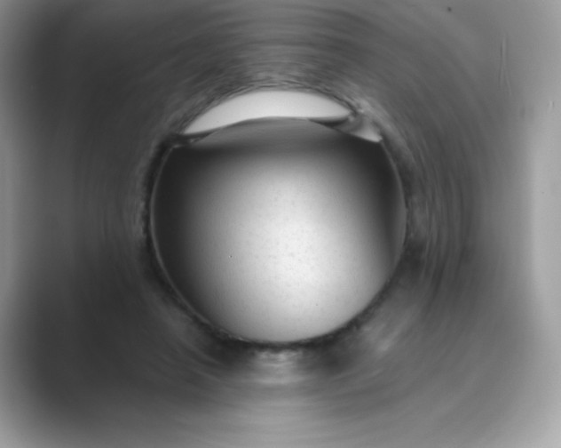 X0000089750450200707051818