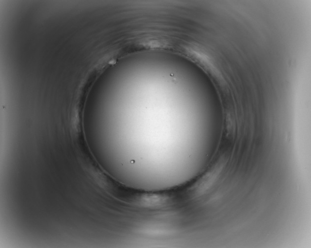 X0000089750453200707051818