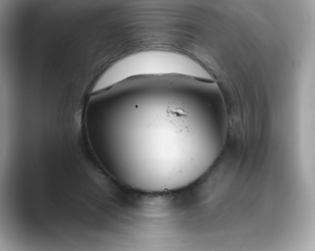 X0000089750454200707051818