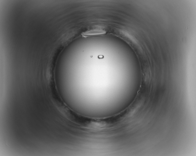 X0000089750455200707051818