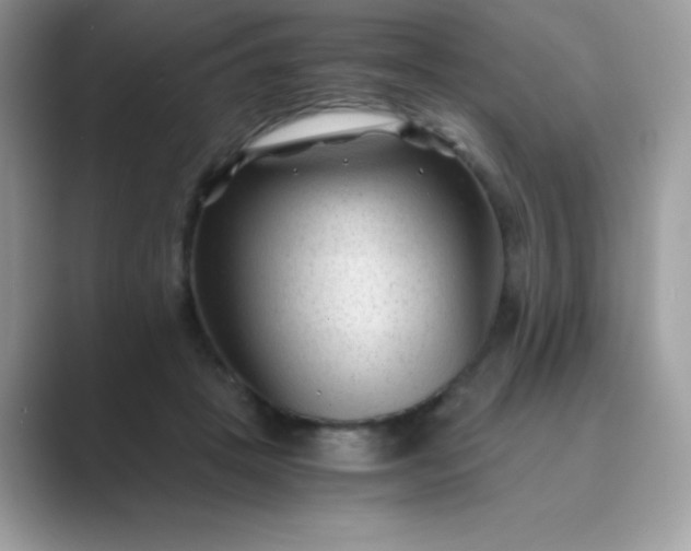 X0000089750457200707051818