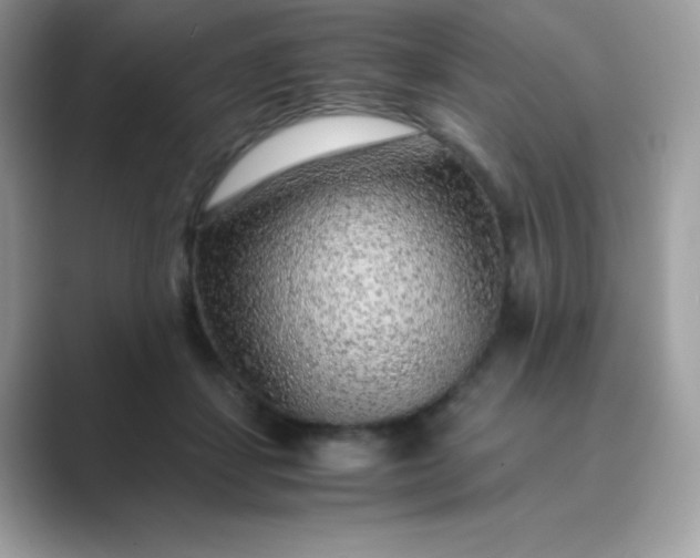 X0000089750459200707051818