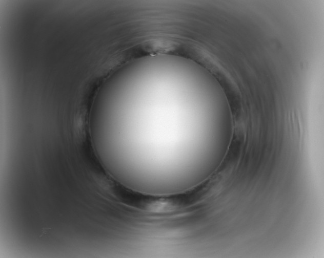 X0000089750460200707051818