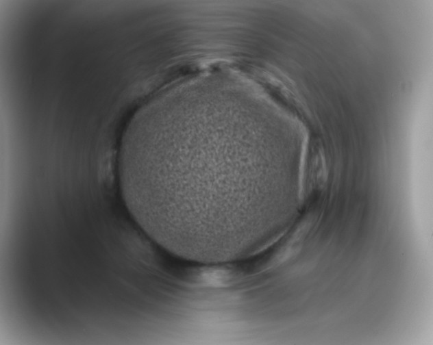 X0000089750462200707051818