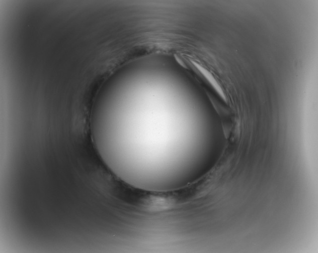 X0000089750464200707051818