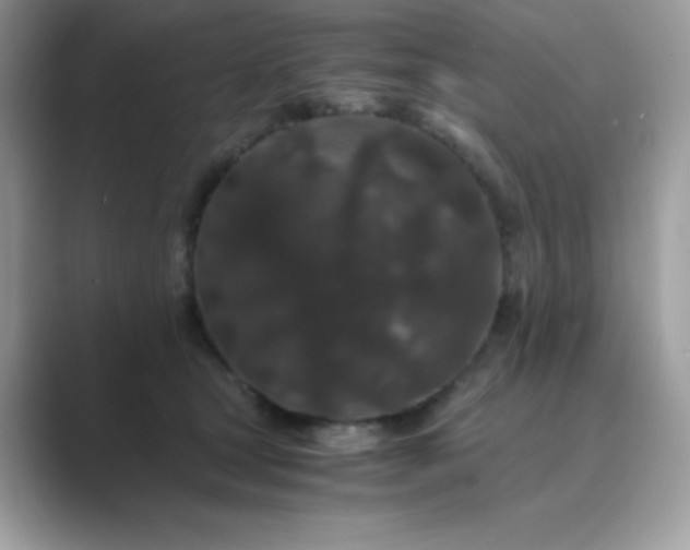 X0000089750465200707051818