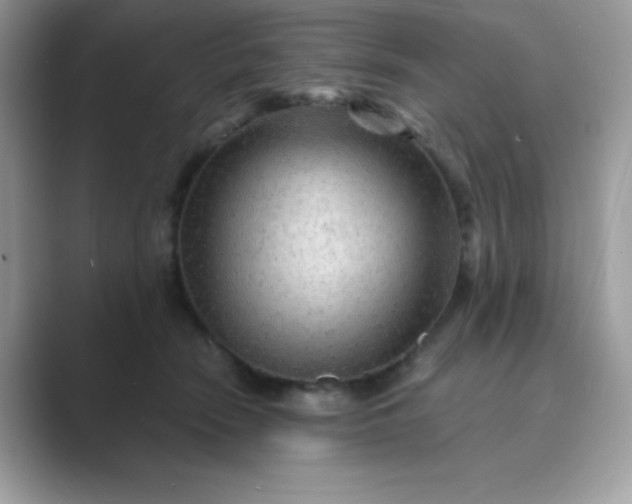 X0000089750466200707051818