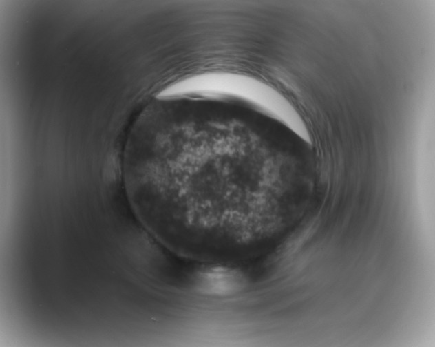 X0000089750467200707051818