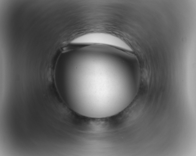 X0000089750470200707051818