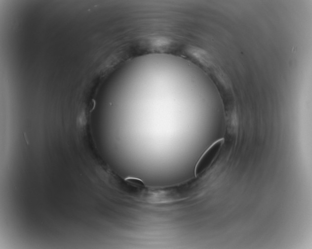 X0000089750472200707051818