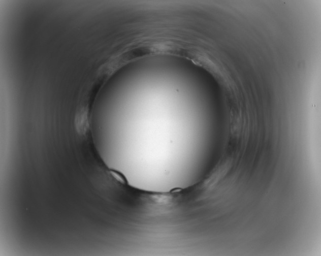 X0000089750478200707051818