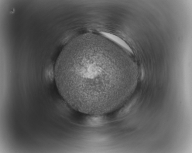 X0000089750479200707051818