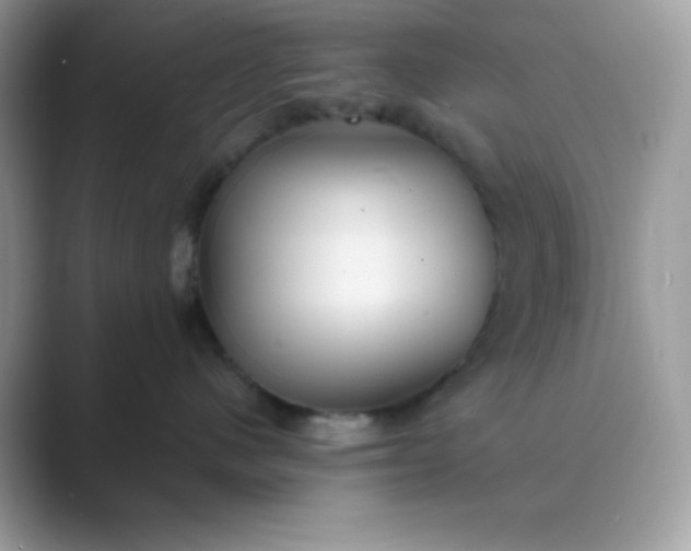 X0000089750480200707051818