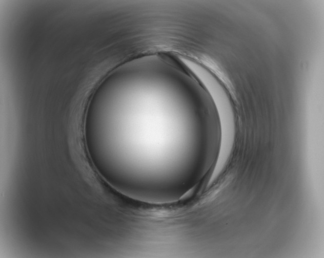 X0000089750481200707051818