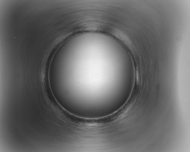 X0000089750483200707051818