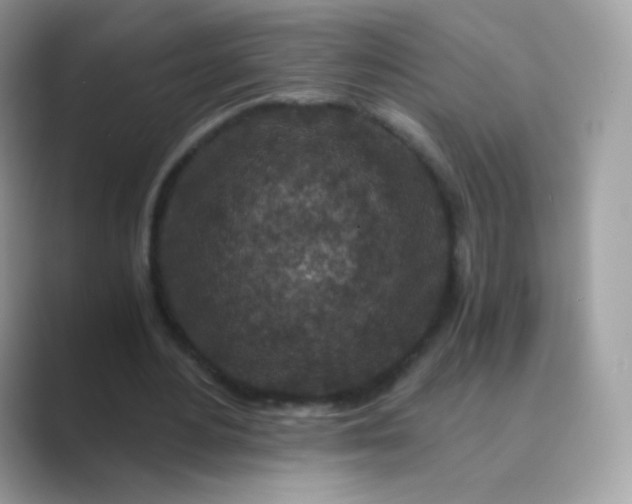 X0000089750484200707051818