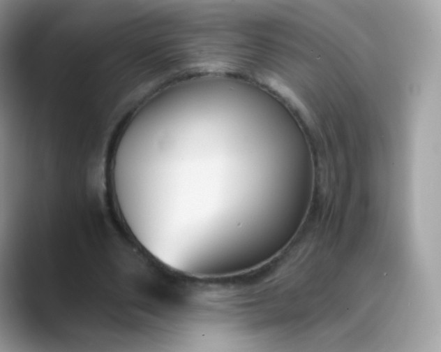 X0000089750486200707051818