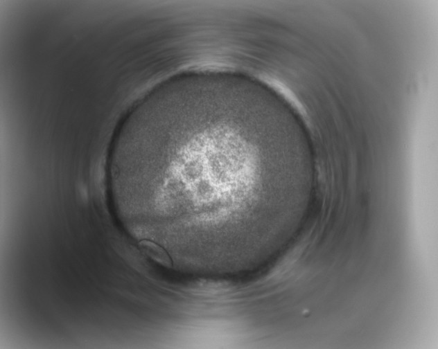 X0000089750487200707051818