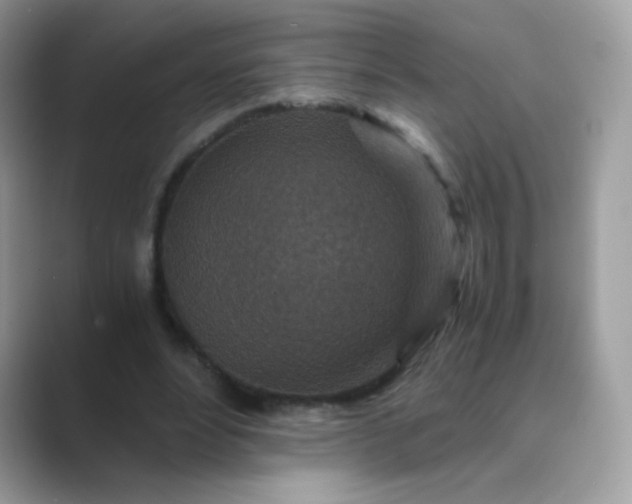 X0000089750488200707051818