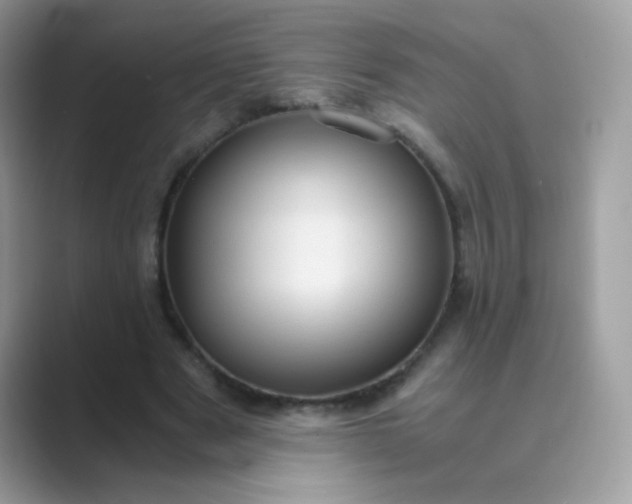 X0000089750489200707051818