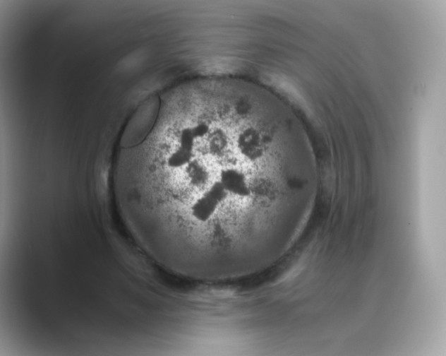 X0000089750491200707051818