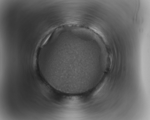 X0000089750492200707051818