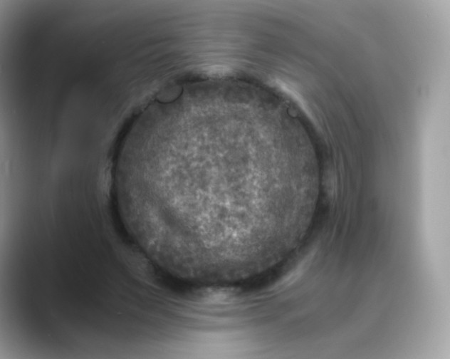 X0000089750495200707051818