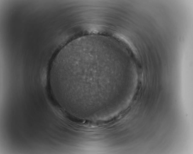 X0000089750496200707051818