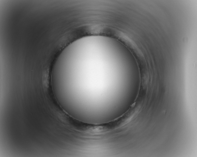 X0000089750497200707051817