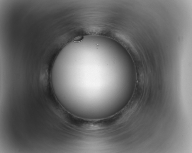 X0000089750498200707051817