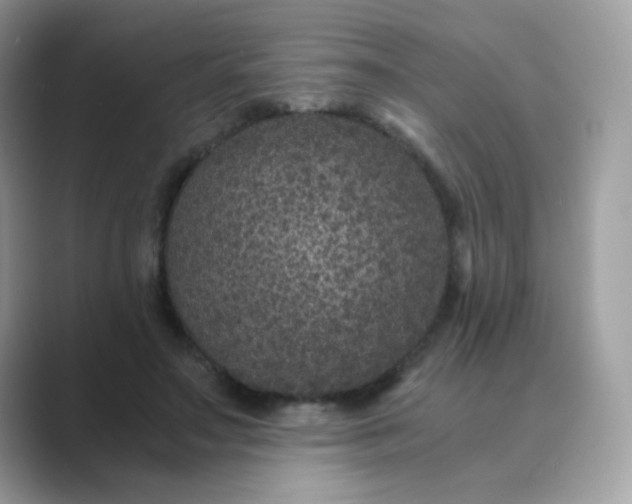 X0000089750499200707051817